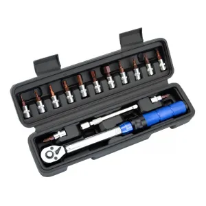 Torque Wrench Set