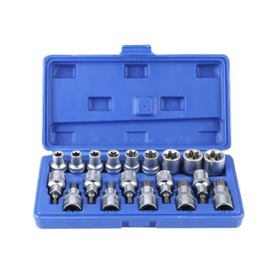 19PC Hex Bit Socket Set