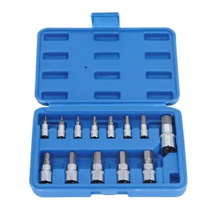 13PC Hex Bit Socket Set